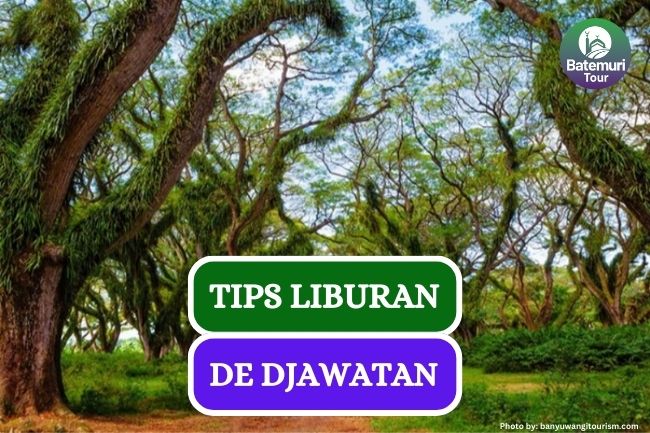 5 Tips yang Harus Kamu Tau Sebelum Berkunjung ke De Djawatan